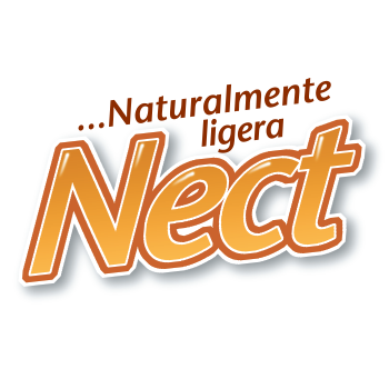 Logotipo Actual | Nect